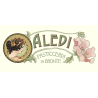 Aledi